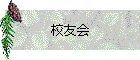 ͧ
