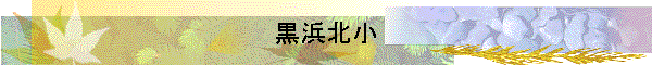 ̾
