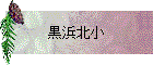̾