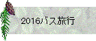 2016Хι