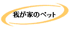 椬ȤΥڥå