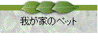 椬ȤΥڥå