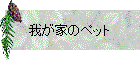 椬ȤΥڥå
