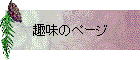 ̣Υڡ