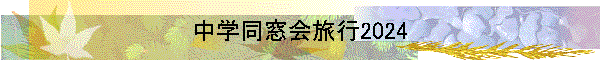 Ʊι2024