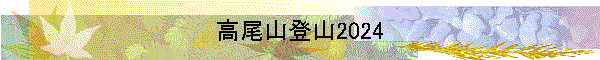л2024