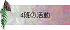 4ɤγư