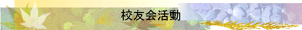 ͧư