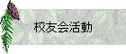 ͧư