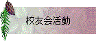 ͧư
